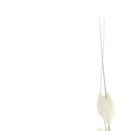 Hill Interiors Bouquet Of Dried Thlaspi Arvense Artificial Flower in White - thumbnail 2