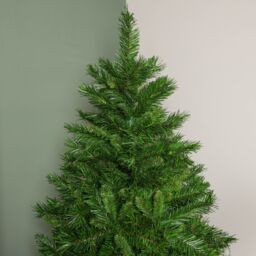 Samuel Alexander 6ft (1.8m) Luxury Kateson Fir Christmas Tree in Green with 816 tips - thumbnail 2