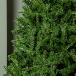 Samuel Alexander 6ft (1.8m) Luxury Kateson Fir Christmas Tree in Green with 816 tips - thumbnail 4