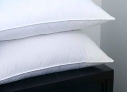 Early's of Witney 'Anti Allergenic' Twin Pack Pillows in White - thumbnail 2