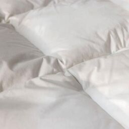 surrey down 70% English Duck Down 13.5tog Duvet in White - Size: Super King - thumbnail 2