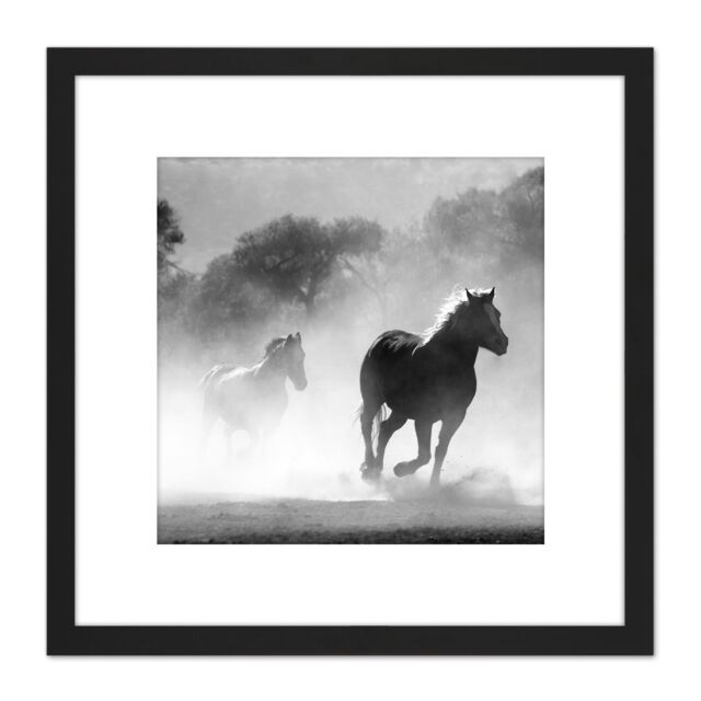 Artery8 Horses Running Mist Black White 8X8 Inch Square Wooden Framed Wall Art Print Picture with Mount - image 1