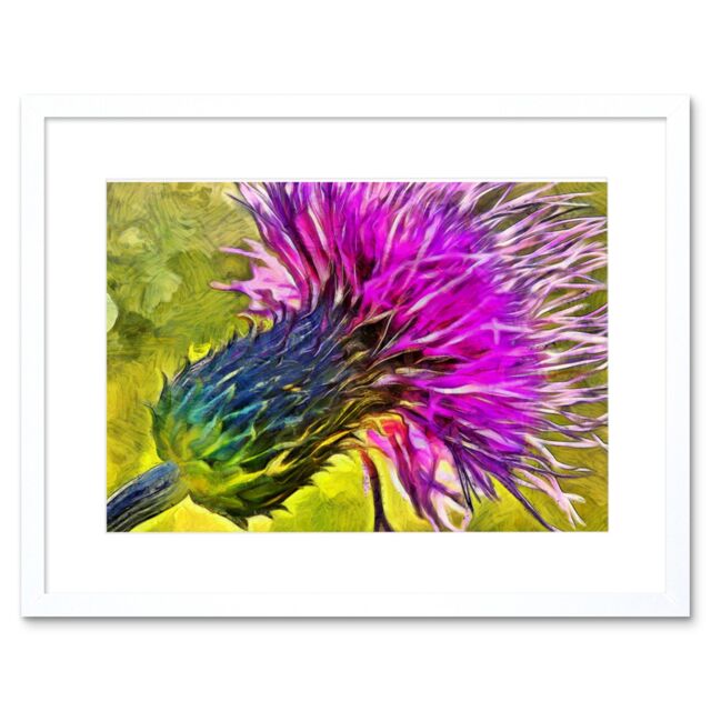 "Artery8 Wall Art Print Scottish Thistle Flower Vibrant Framed in White - Size: W7"" x H9""" - image 1