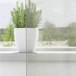 Berkfield Home Voile Curtains with Grommets 2 pcs Light Grey 140x175 cm - thumbnail 1