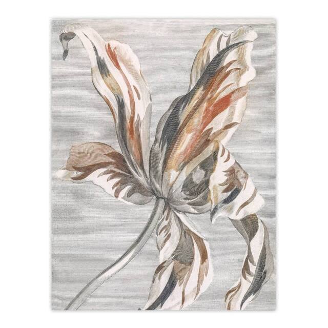 "Artery8 Tulip Flower Bloom Floral Painting Teyler Wall Art Poster Print in White - Size: W12"" x H16""" - image 1