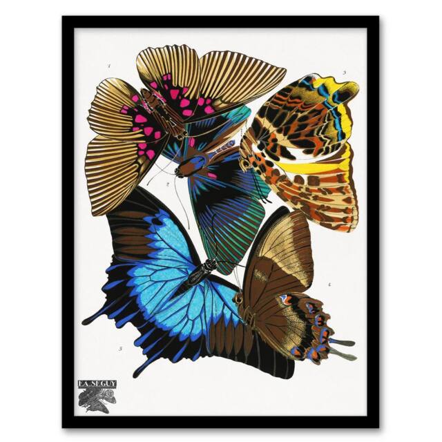 Artery8 Eugene Seguy Framed Wall Art Print Colourful Vintage Butterflies - Size: A4 - image 1