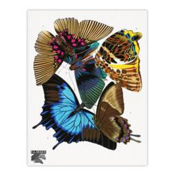 Artery8 Eugene Seguy Framed Wall Art Print Colourful Vintage Butterflies - Size: A4 - thumbnail 3