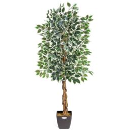 Christow Artificial Variegated Ficus Tree Realistic Faux House Plant in Pot in Green - Size: 4ft - thumbnail 1