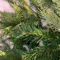 Samuel Alexander 6ft (1.8m) Green Artificial Real Look Grandis Fir Christmas Tree with 1564 Tips & Metal Stand - thumbnail 3