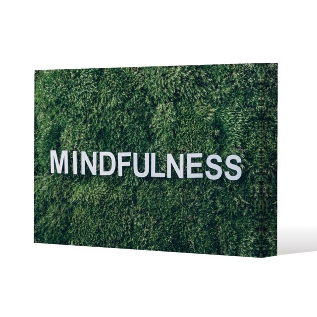 Benjamin Tate Design Wellness Mindfulness (Canvas Print) / 61 x 91 x 4cm in Natural - Size: 61 x 91 x 4 cm - image 1