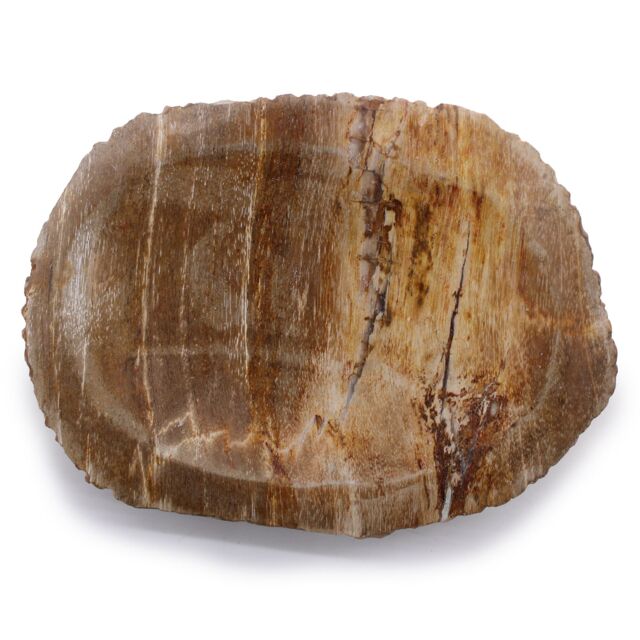 KDMD Petrified Wood Brown Soap Dish - image 1