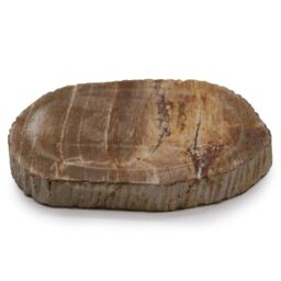 KDMD Petrified Wood Brown Soap Dish - thumbnail 2