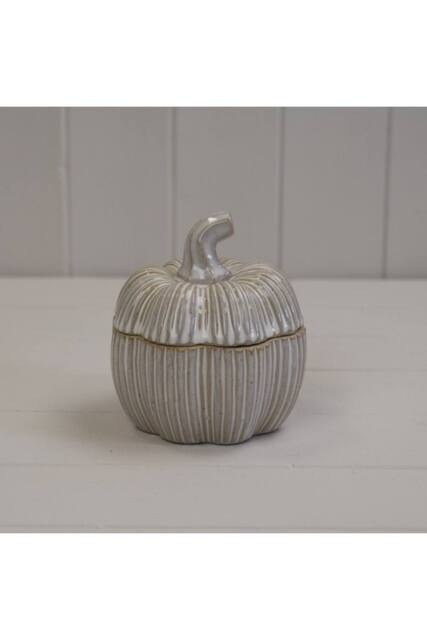 KDMD Ceramic Off-White Indoor Plant Pot 13cm - image 1