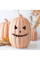 KDMD 30cm Terracotta Pumpkin Ornament in Coral - thumbnail 5
