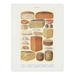 "Artery8 Different Types of Cheese Mrs Beeton Wall Art Poster Print in Beige - Size: W12"" x H16""" - thumbnail 1