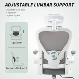 STILVORA Ergonomic Office Chair with Adjustable Headrest & Lumbar Support in Grey - thumbnail 7