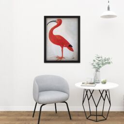 "Artery8 Wall Art Print Merian Scarlet Ibis With Egg Nature Bird Painting Large Framed Wall Décor Art in Black - Size: W18"" x H24""" - thumbnail 2