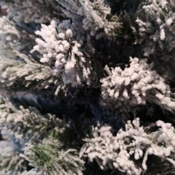 Samuel Alexander Kaemingk 6ft (180cm) Flocked Snowy Imperial Pine Hinged Christmas Trees in Green - thumbnail 4