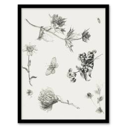 Artery8 Flowers Leaves Butterfly Drawing Vintage Framed Wall Art Print Hoytema in White - Size: A4 - thumbnail 1