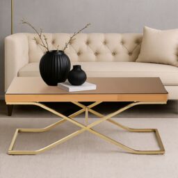 Orsina Stylish Light Brown Coffee Table For Sitting Area, Modern Rectangular Decorative Coffee Table With Glass Top in Gold