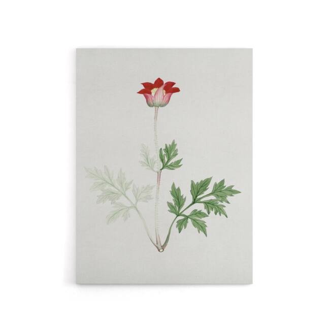 "Artery8 Red Bloom Flower Canvas Wall Art Print Vintage Japanese Botanical - Size: W18"" x H24""" - image 1