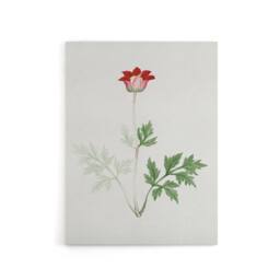 "Artery8 Red Bloom Flower Canvas Wall Art Print Vintage Japanese Botanical - Size: W18"" x H24""" - thumbnail 1