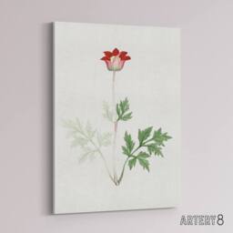 "Artery8 Red Bloom Flower Canvas Wall Art Print Vintage Japanese Botanical - Size: W18"" x H24""" - thumbnail 2
