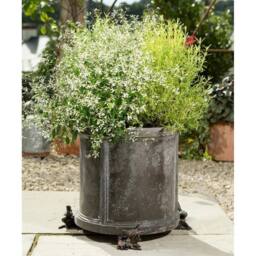 Jardinopia Bronze Robin Plant Pot Feet - Set of 3 - thumbnail 4
