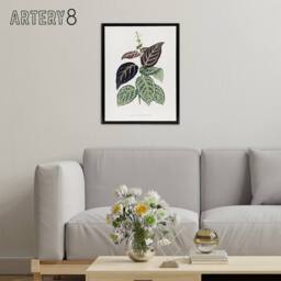 "Artery8 Lydon & Fawcett Bignonia Argyro Violacea Crossvine Framed Canvas Art in White - Size: W12"" x H16""" - thumbnail 3