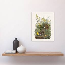 "Artery8 Meadowlark Bird False Foxglove Audubon Wall Art Print Poster in White - Size: W24"" x H32""" - thumbnail 4