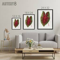 "Artery8 AF Lydon B Fawcett Caladium Bicolor Splendens Leaf Framed Canvas Art in White - Size: W12"" x H16""" - thumbnail 4