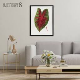 "Artery8 AF Lydon B Fawcett Caladium Bicolor Splendens Leaf Framed Canvas Art in White - Size: W12"" x H16""" - thumbnail 3