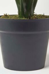 Homescapes White Peace Lily in Pot, 90 cm Tall in Green - thumbnail 5