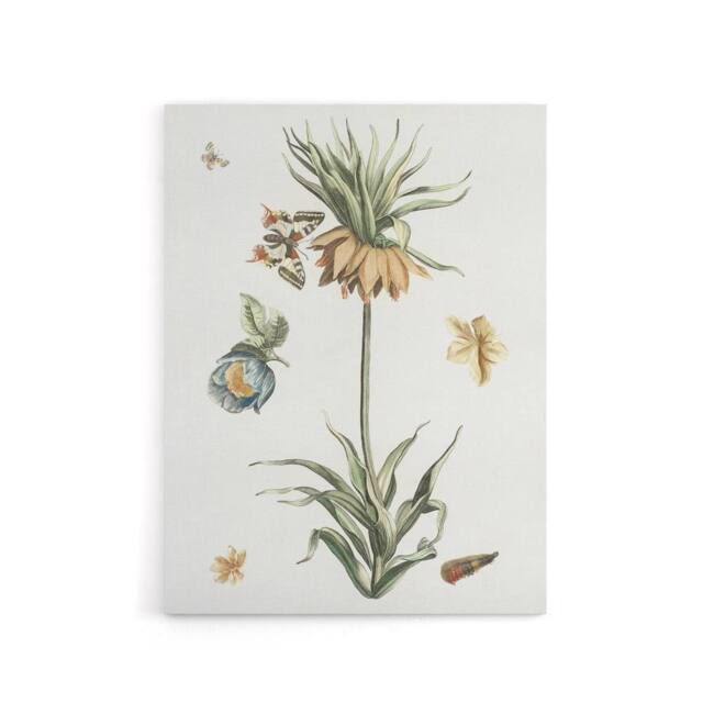 "Artery8 Keizerskroon Tulip & Butterfly Teyler Canvas Wall Art in White - Size: W18"" x H24""" - image 1