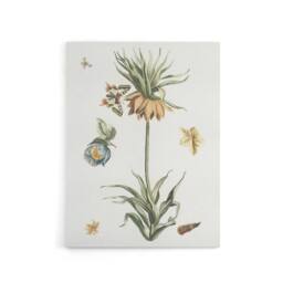 "Artery8 Keizerskroon Tulip & Butterfly Teyler Canvas Wall Art in White - Size: W18"" x H24""" - thumbnail 1