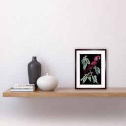 "Artery8 Wall Art Print Burgundy Parakeet Retro Modern Vintage Tropical Jungle Artwork Framed 9X7 Inch in Brown - Size: W7"" x H9""" - thumbnail 2
