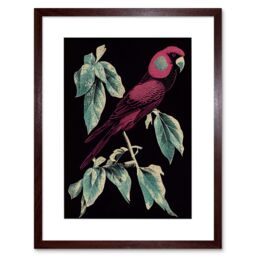 "Artery8 Wall Art Print Burgundy Parakeet Retro Modern Vintage Tropical Jungle Artwork Framed 9X7 Inch in Brown - Size: W7"" x H9"""