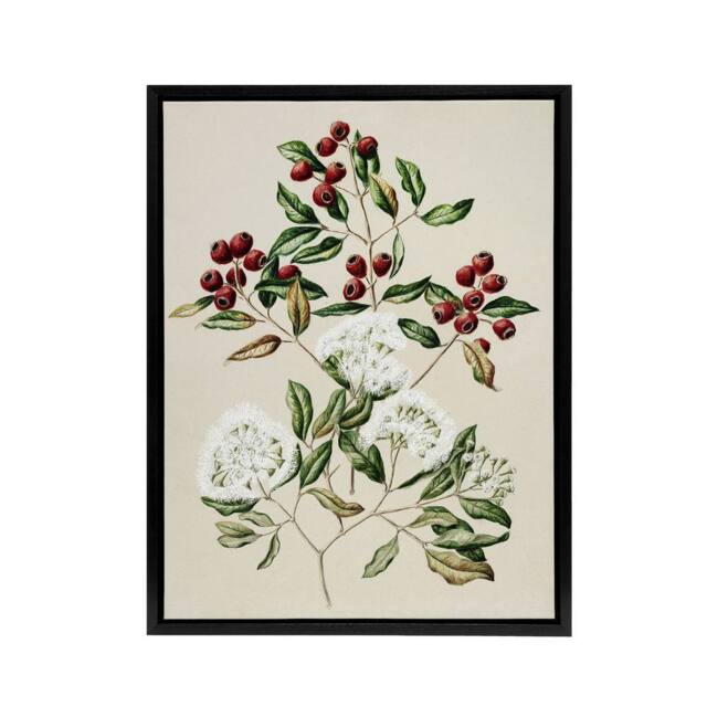 "Artery8 New Zealand Maire Tawake Tree Flowers Featon Framed Canvas Wall Art in Beige - Size: W12"" x H16""" - image 1