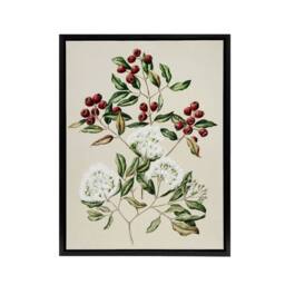 "Artery8 New Zealand Maire Tawake Tree Flowers Featon Framed Canvas Wall Art in Beige - Size: W12"" x H16""" - thumbnail 1