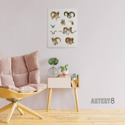 "Artery8 Wild Bovidae Vintage Illustration Lydekker Canvas Wall Art in White - Size: W18"" x H24""" - thumbnail 3
