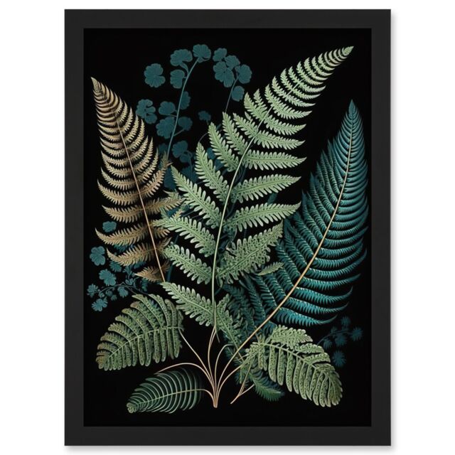 Artery8 Detailed Leaves Fern Fronds Botanical Illustration Artwork Framed Wall Art Print A4 in Black - image 1