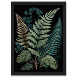 Artery8 Detailed Leaves Fern Fronds Botanical Illustration Artwork Framed Wall Art Print A4 in Black - thumbnail 1