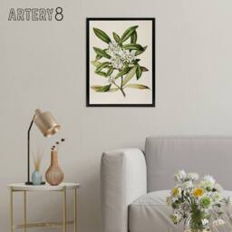 "Artery8 New Zealand Tawari Plant Flowers Featon Framed Canvas Wall Art Print in Beige - Size: W12"" x H16""" - thumbnail 3