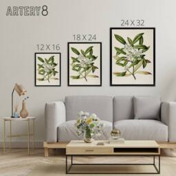"Artery8 New Zealand Tawari Plant Flowers Featon Framed Canvas Wall Art Print in Beige - Size: W12"" x H16""" - thumbnail 4