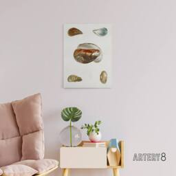 "Artery8 James De Kay Different Types of Mussel Seashells Canvas Wall Art Print in White - Size: W12"" x H16""" - thumbnail 3
