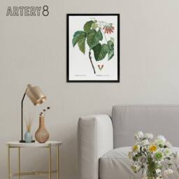 "Artery8 Acer Tataricum Botanical Redoute Vintage Black Framed Canvas Wall Art in White - Size: W12"" x H16""" - thumbnail 3