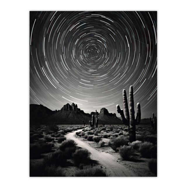 Artery8 Moon & Star Time Lapse Trails Stars Tracing Their Journey Across The Sky Desert Cactus Large Wall Unframed Art Poster Print Thick Paper 18X24 - image 1