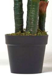 Homescapes Dieffenbachia Dumb Cane Plant in Pot, 150 cm Tall in Green - thumbnail 3