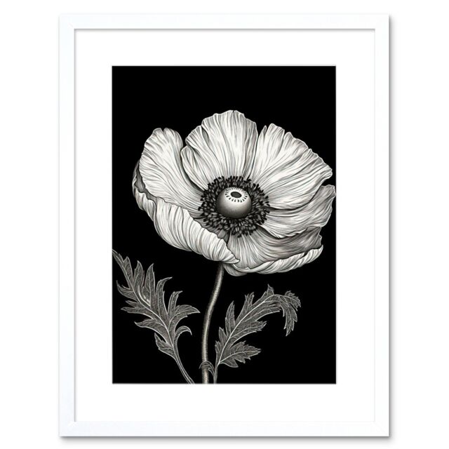 "Artery8 Wall Art Print White on Black Single Detailed Anemone Flower Artwork Framed 9X7 Inch - Size: W7"" x H9""" - image 1