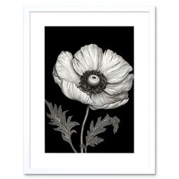 "Artery8 Wall Art Print White on Black Single Detailed Anemone Flower Artwork Framed 9X7 Inch - Size: W7"" x H9""" - thumbnail 1